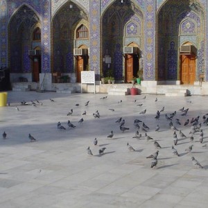 ATT00058 ATT00058